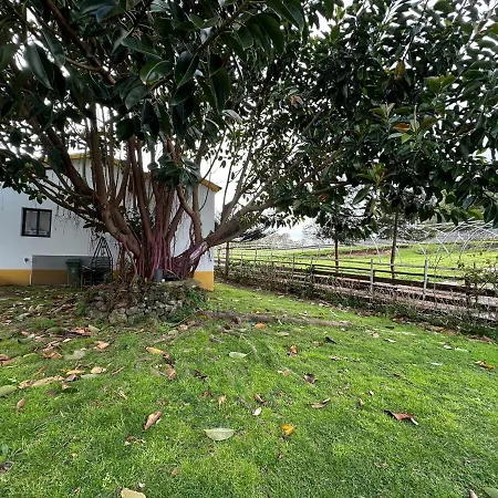 Villa Quinta Ananas Pineapple Farm