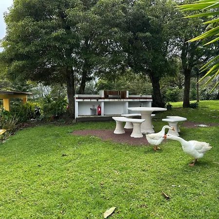 Quinta Ananas Pineapple Farm Villa *