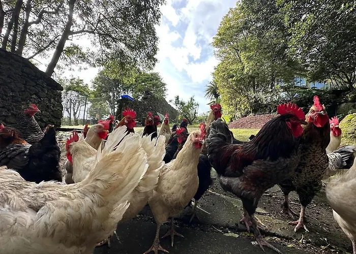 Quinta Ananas Pineapple Farm Villa *