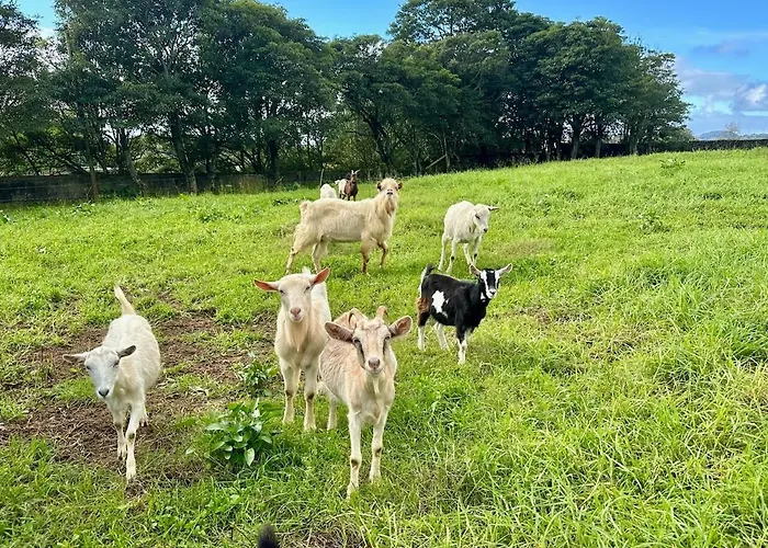 Villa Quinta Ananas Pineapple Farm *