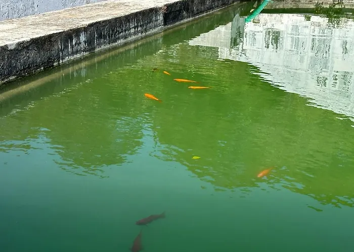 Quinta Ananas Pineapple Farm Ponta Delgada