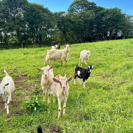 Вилла Quinta Ananas Pineapple Farm *