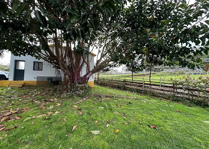 Villa Quinta Ananas Pineapple Farm