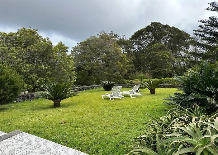 Quinta Ananas Pineapple Farm *